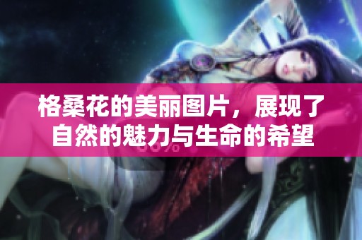 格桑花的美丽图片，展现了自然的魅力与生命的希望