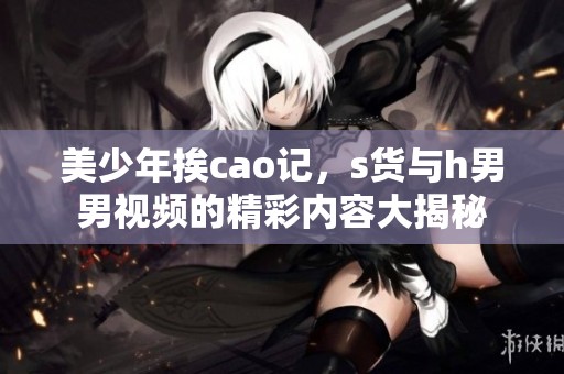 美少年挨cao记，s货与h男男视频的精彩内容大揭秘