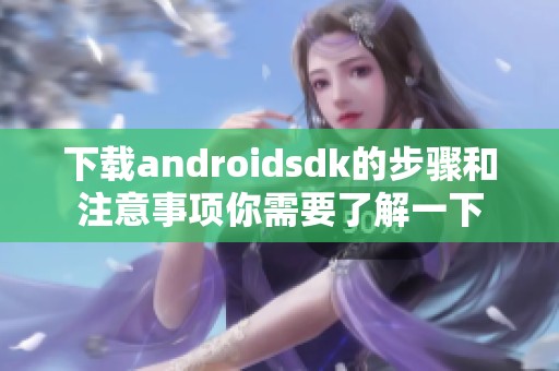 下载androidsdk的步骤和注意事项你需要了解一下