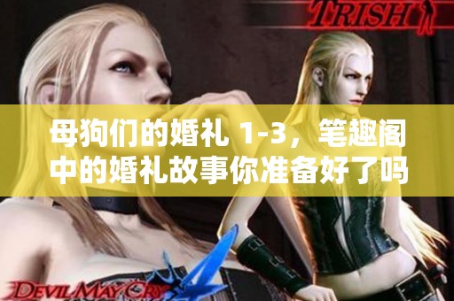 母狗们的婚礼 1-3，笔趣阁中的婚礼故事你准备好了吗