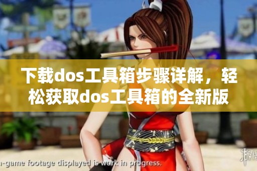 下载dos工具箱步骤详解，轻松获取dos工具箱的全新版本