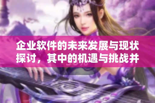 企业软件的未来发展与现状探讨，其中的机遇与挑战并存