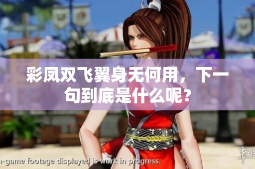 彩凤双飞翼身无何用，下一句到底是什么呢？