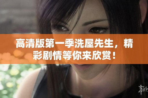 高清版第一季洗屋先生，精彩剧情等你来欣赏！