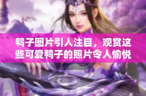 鸭子图片引人注目，观赏这些可爱鸭子的照片令人愉悦