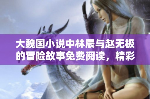 大魏国小说中林辰与赵无极的冒险故事免费阅读，精彩纷呈！