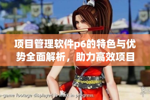 项目管理软件p6的特色与优势全面解析，助力高效项目执行和管理