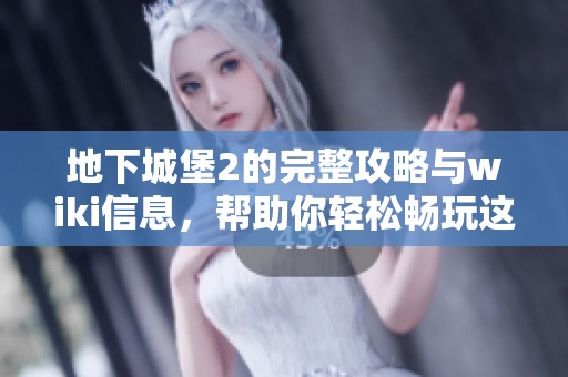 地下城堡2的完整攻略与wiki信息，帮助你轻松畅玩这款游戏