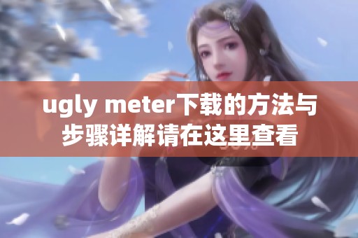 ugly meter下载的方法与步骤详解请在这里查看