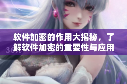 软件加密的作用大揭秘，了解软件加密的重要性与应用场景