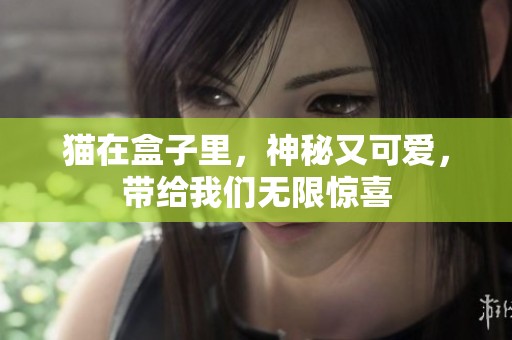 猫在盒子里，神秘又可爱，带给我们无限惊喜