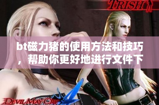 bt磁力猪的使用方法和技巧，帮助你更好地进行文件下载与分享