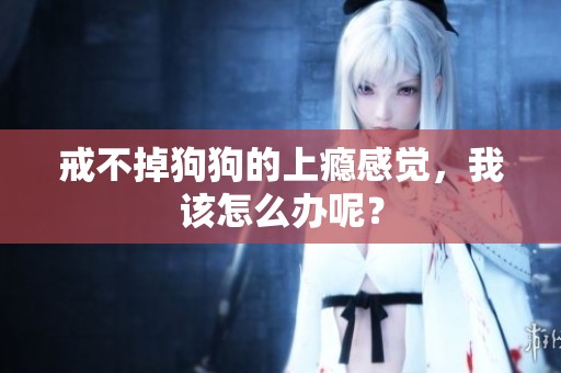戒不掉狗狗的上瘾感觉，我该怎么办呢？