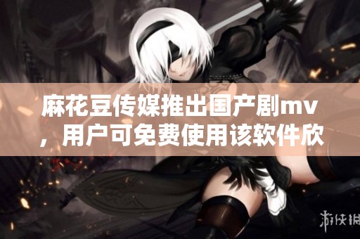 麻花豆传媒推出国产剧mv，用户可免费使用该软件欣赏精彩内容！