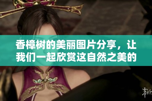 香樟树的美丽图片分享，让我们一起欣赏这自然之美的魅力吧