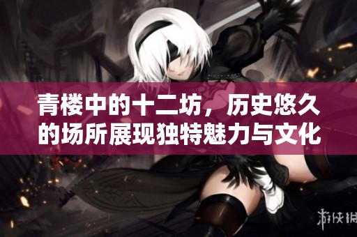 青楼中的十二坊，历史悠久的场所展现独特魅力与文化