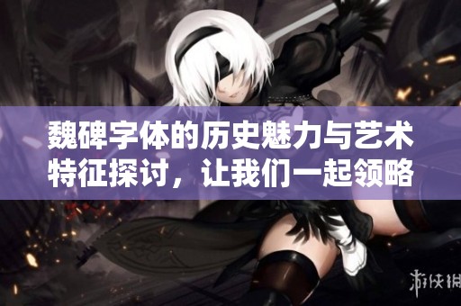 魏碑字体的历史魅力与艺术特征探讨，让我们一起领略其中的精彩之处