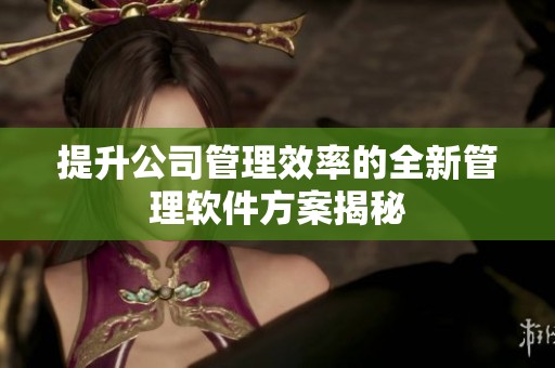 提升公司管理效率的全新管理软件方案揭秘