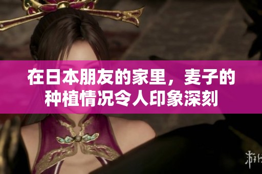 在日本朋友的家里，麦子的种植情况令人印象深刻