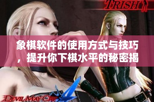 象棋软件的使用方式与技巧，提升你下棋水平的秘密揭秘