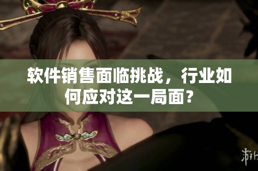 软件销售面临挑战，行业如何应对这一局面？