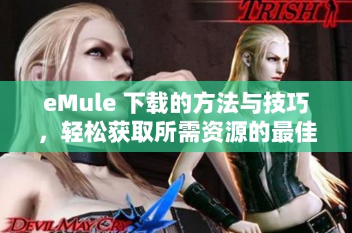 eMule 下载的方法与技巧，轻松获取所需资源的最佳途径