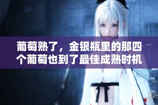 葡萄熟了，金银瓶里的那四个葡萄也到了最佳成熟时机