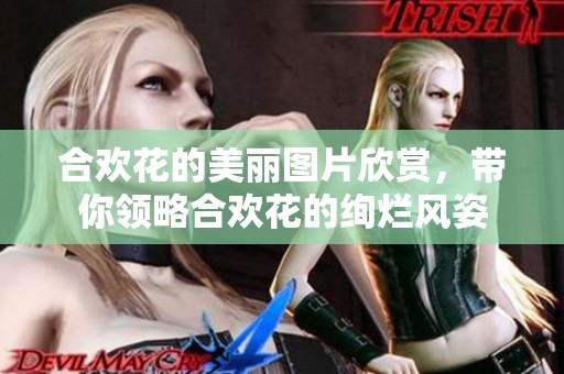 合欢花的美丽图片欣赏，带你领略合欢花的绚烂风姿