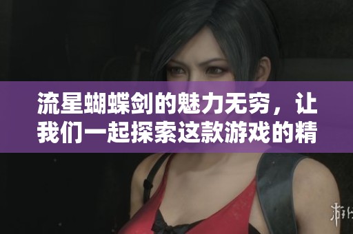 流星蝴蝶剑的魅力无穷，让我们一起探索这款游戏的精彩世界