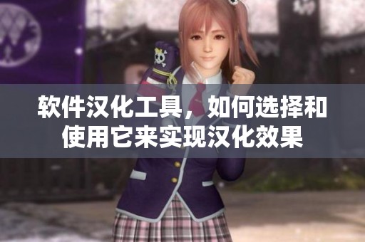 软件汉化工具，如何选择和使用它来实现汉化效果