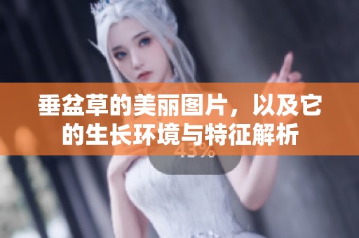 垂盆草的美丽图片，以及它的生长环境与特征解析