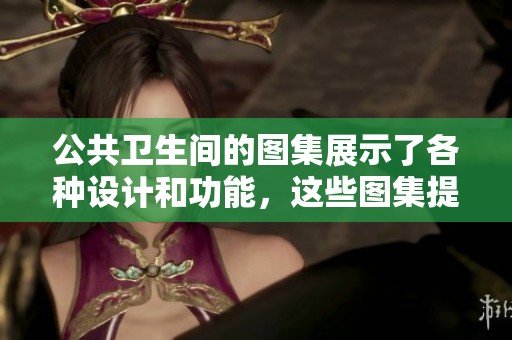公共卫生间的图集展示了各种设计和功能，这些图集提供了有用的参考。
