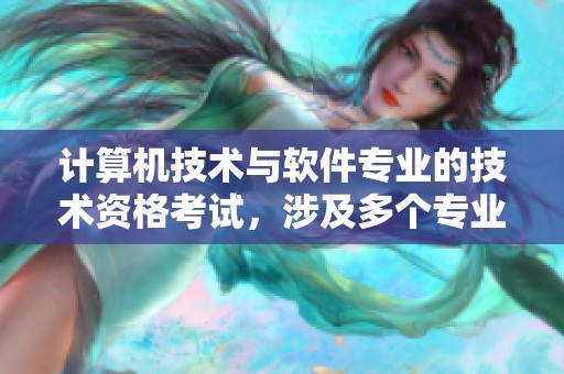计算机技术与软件专业的技术资格考试，涉及多个专业领域和技能要求