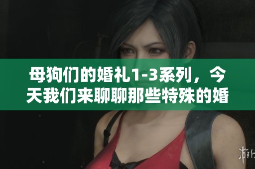 母狗们的婚礼1-3系列，今天我们来聊聊那些特殊的婚礼故事