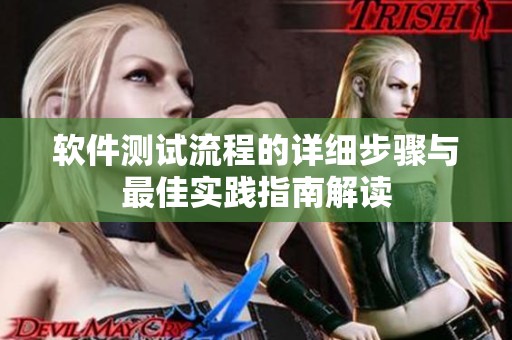 软件测试流程的详细步骤与最佳实践指南解读