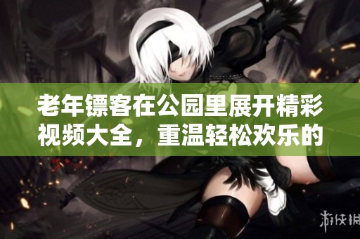老年镖客在公园里展开精彩视频大全，重温轻松欢乐的岁月回忆