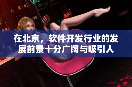 在北京，软件开发行业的发展前景十分广阔与吸引人