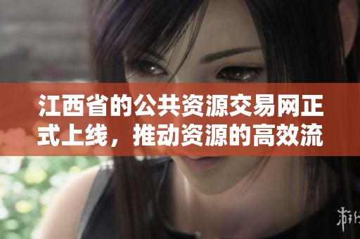 江西省的公共资源交易网正式上线，推动资源的高效流通与利用。