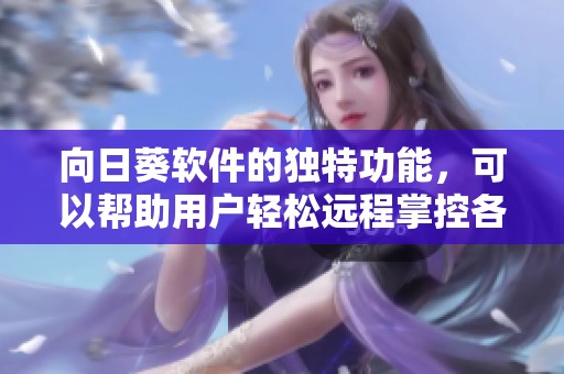 向日葵软件的独特功能，可以帮助用户轻松远程掌控各类设备
