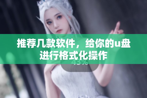 推荐几款软件，给你的u盘进行格式化操作