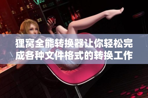 狸窝全能转换器让你轻松完成各种文件格式的转换工作