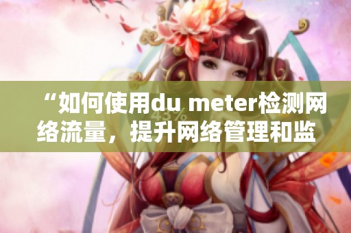 “如何使用du meter检测网络流量，提升网络管理和监控的有效性”