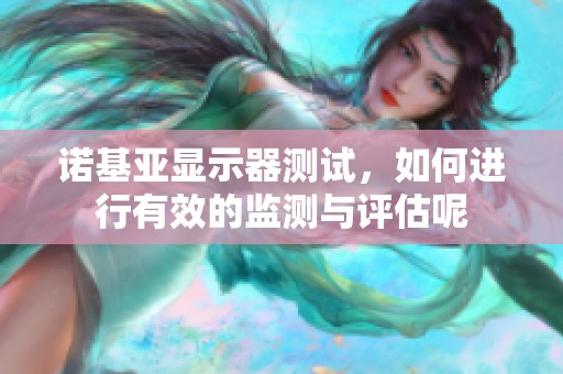 诺基亚显示器测试，如何进行有效的监测与评估呢