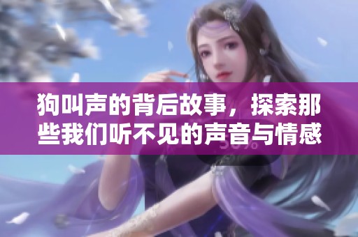 狗叫声的背后故事，探索那些我们听不见的声音与情感
