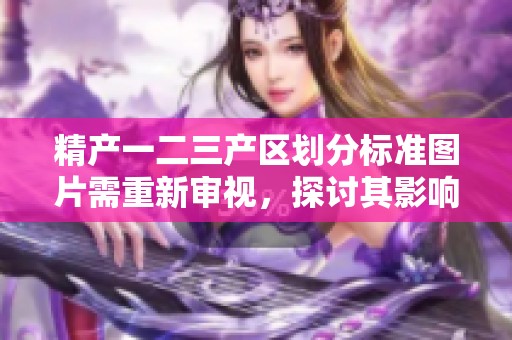 精产一二三产区划分标准图片需重新审视，探讨其影响与应用价值
