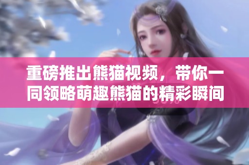 重磅推出熊猫视频，带你一同领略萌趣熊猫的精彩瞬间