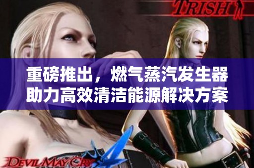 重磅推出，燃气蒸汽发生器助力高效清洁能源解决方案