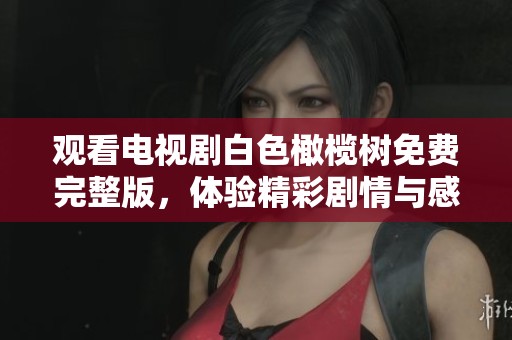 观看电视剧白色橄榄树免费完整版，体验精彩剧情与感人时刻