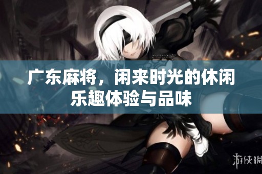 广东麻将，闲来时光的休闲乐趣体验与品味