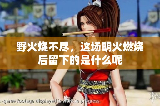 野火烧不尽，这场明火燃烧后留下的是什么呢